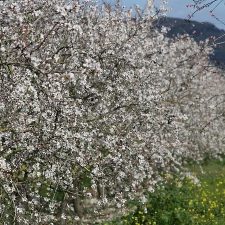 Llubi 133 Tatil Evi